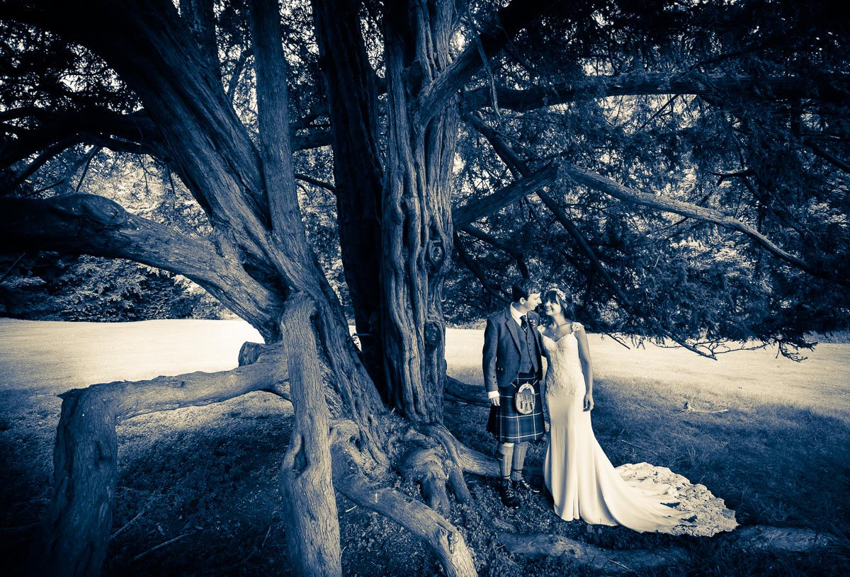 Bride and groom under the trees at Oxenfoord Castle