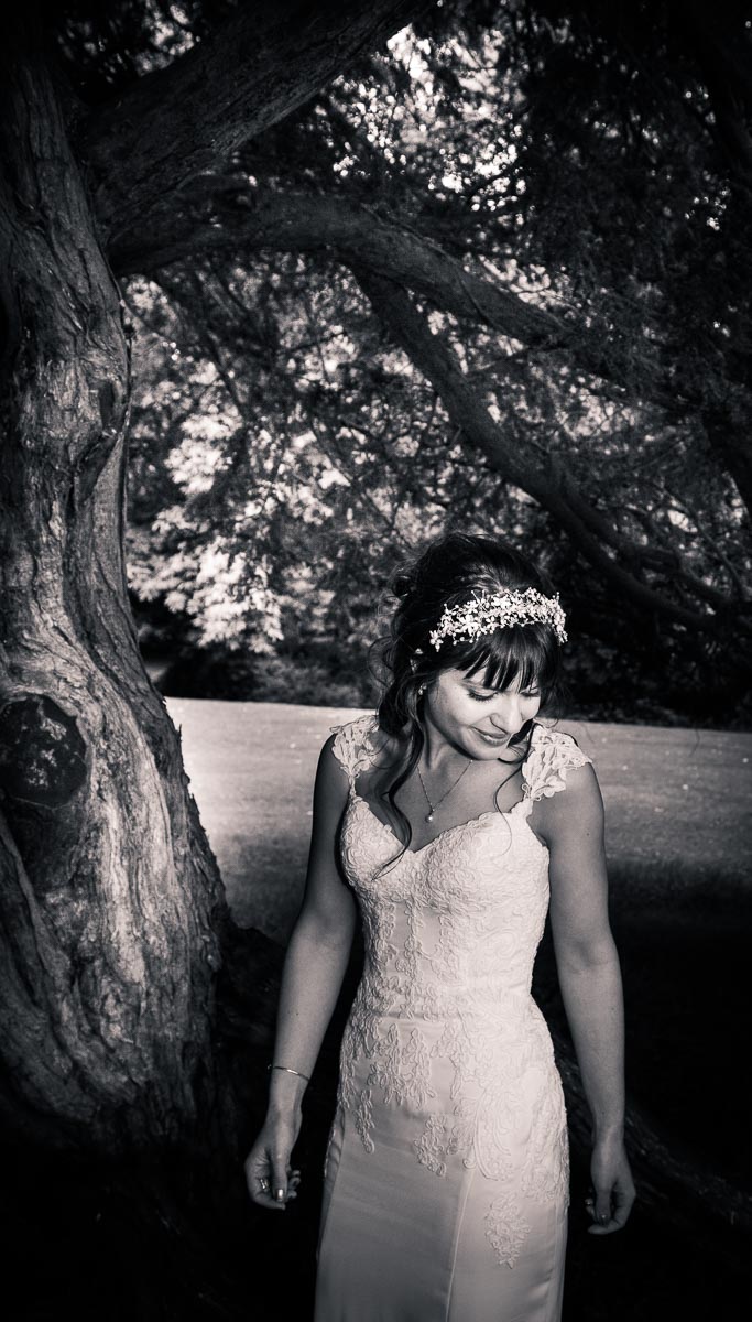 Bride and Trees