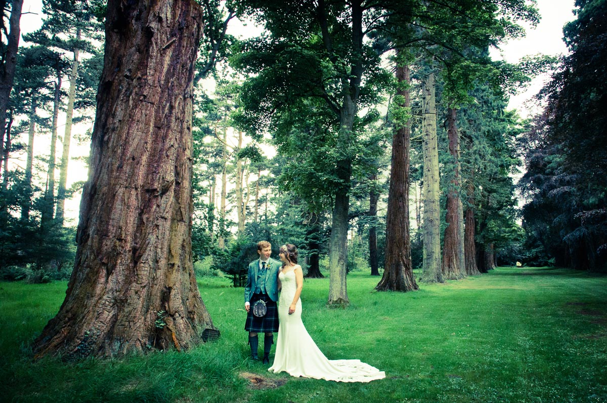 Wedding Photo at the Giant Redwoods