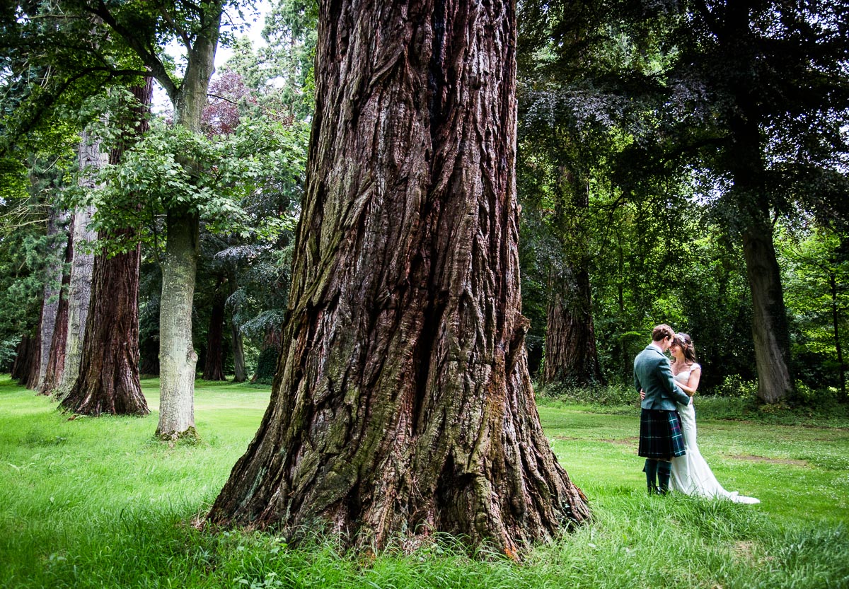Wedding Photo at the Sequoias